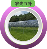 product0217_0106.png